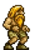 Metal slug 27