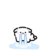 Fluffy meow 18
