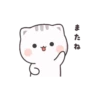 Gatos fofos 27