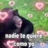 nadie te quiere como yo