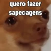 sapecagens - animadas 15