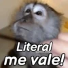 Monos groseros pal chat 🐒🐵 9