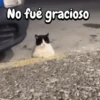 No fué gracioso