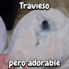 Travieso pero adorable