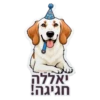 יאללה חגיגה!