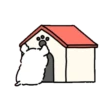 Kakao friends maltese 1 24