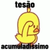 sapecagens - animadas 12