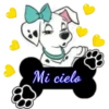 Perritos🐕👣2🇨🇴Movi 29