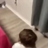 Bebés increíbles 👶🏻 14