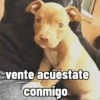 vente acuéstate conmigo
