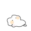 fluffly meow meow cute cat 4 24