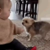 Bebés divertidos 👶🏼 20