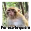 Frases estilo mono 🙈🙉 15