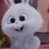 ❤️SNOWBALL ANIMADO❤️🐇 18
