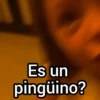 Es un pingüino 🐧niña 👧🏻🔥 15