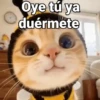 Oye tú ya duérmete