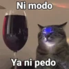 Ni modo Ya ni pedo