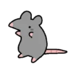 rata bailando 6