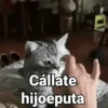 Cállate hijoeputa