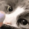 Closezinho
