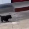 Mix♡♥︎2 5