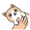 🐱🐈 CrEaM CaT 🐈🐱  (Mov) 6