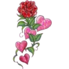 FLORES 8