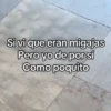 🐦 PALOMA MIGAJERA BAILANDO🐦 14