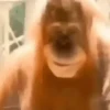 MIX Tiktok 📽️ 6