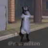 Raton Milton - Bailando 🐀 5
