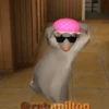 Raton Milton - Bailando 🐀 10