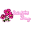 FLORES 9