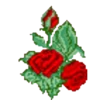 FLORES 10