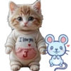 ABC(El Gato y el Ratón)💞1🇵🇪Movi 9