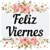BUEN DÍA😎☀️🦋🌹 7