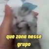 que zona nesse grupo