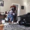 🌈🐕Reaccion Perros Pal Chat🐕🌈 5