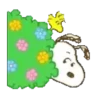 Snoopy en primavera 🌺🌻 12
