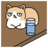🐱🐈 CrEaM CaT 🐈🐱  (Mov) 8