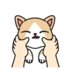 🐱🐈 CrEaM CaT 🐈🐱  (Mov) 9