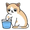 🐱🐈 CrEaM CaT 🐈🐱  (Mov) 10