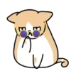 🐱🐈 CrEaM CaT 🐈🐱  (Mov) 12