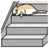 🐱🐈 CrEaM CaT 🐈🐱  (Mov) 13