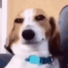 random-gifs 8