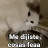 Me dijiste cosas feaa