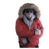 Frío🥶🧊☃️anim 10