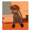 Rata bailando 🐀 6
