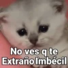 No ves q te Extraño Imbécil