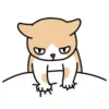 🐱🐈 CrEaM CaT 🐈🐱  (Mov) 14
