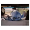 Stitch | Movie 💙🎦 8